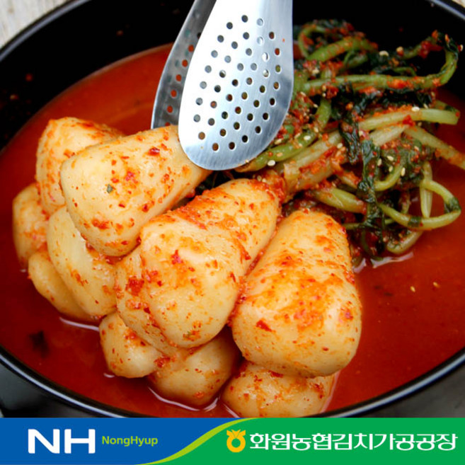 전라도 해남 땅끝마을 농협 총각김치 100% 국산 농산물 알타리김치, 1개, 3kg