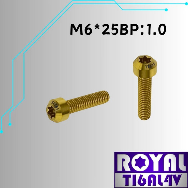 ROYAL 鈦合金螺絲 M6*25BP:1.0 錐形螺絲, 1個