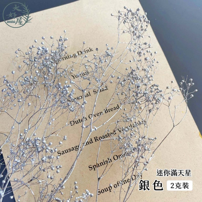 大好屋 迷你滿天星 永生花乾燥花材 DIY手作拍攝道具, 迷你滿天星, 銀色