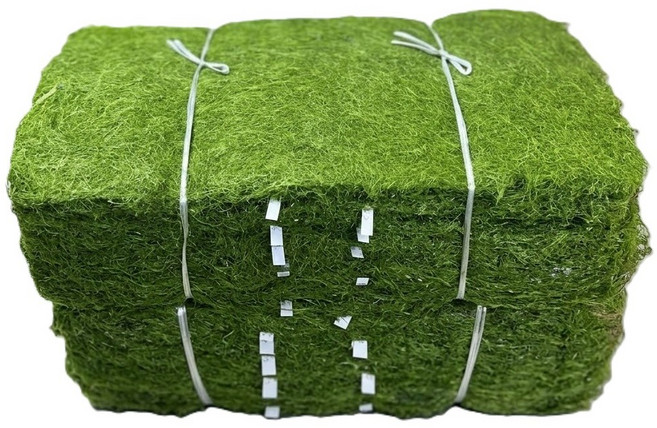 국내 청정 갯벌 재래식 햇 생감태김 1000장, 1박스, 4500g