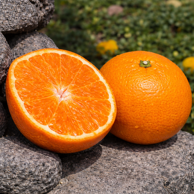 [30박스특가] 재구매1위 당도선별 달콤새콤 카라향, 1박스, 2kg