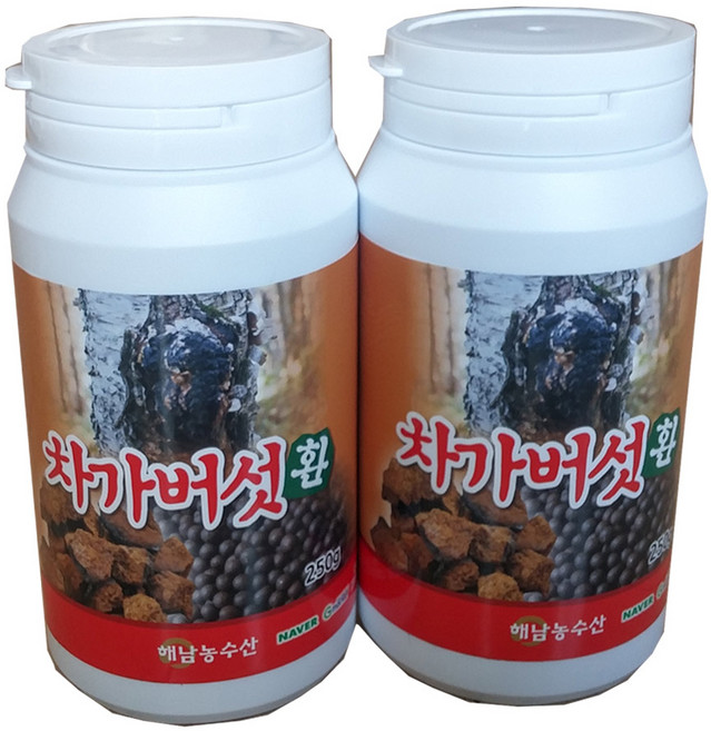 해남농수산 차가버섯 환 한방재료, 250g, 2개