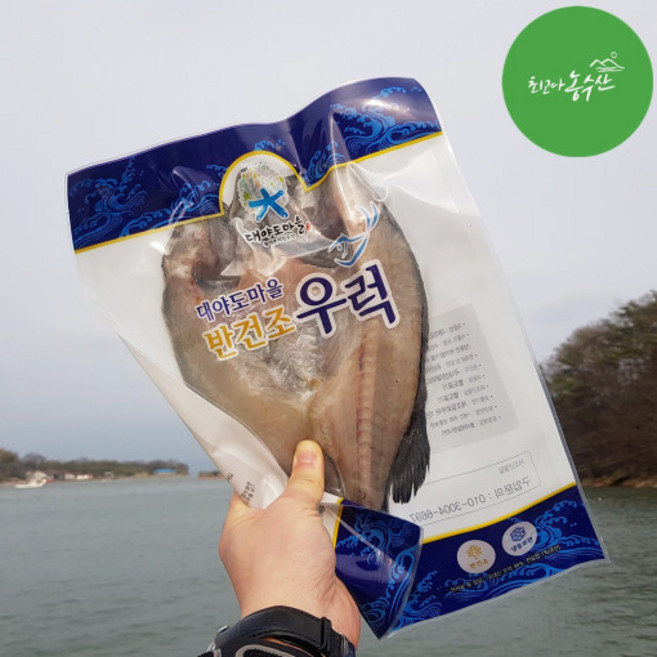 최고다농수산 반건조우럭 싱싱한 자연산 우럭 태안 산지직송, 1개, 380-430g, 왕특대 1마리
