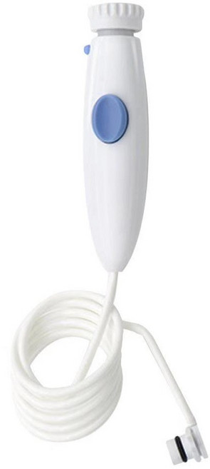 WP100K 워터픽 교체용 호스 표준 노즐 2개 교체 구강 세정기 구강관리, 1. 노즐 2개