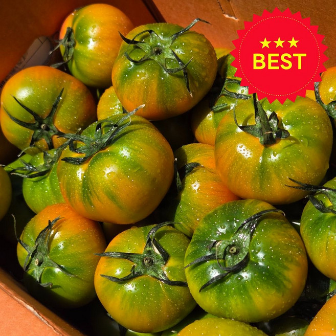 제철농장 대저 짭짤이 토마토 특품, 1박스, 2.5kg (소과 S)