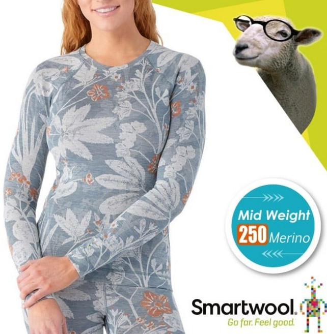 Smartwool 美麗諾羊毛圓領長袖內搭衣 Merino 250