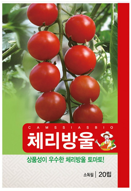 체리 방울 토마토 씨앗, 1개