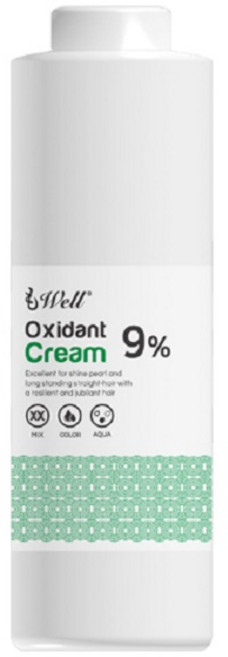 [LASAEM] 라샘 엘에스 디벨로퍼 9% 산화제 1000ml, 1개, 1L