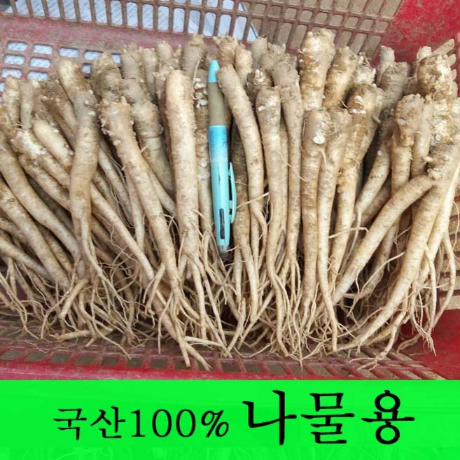 [금산도라지] 직접재배한 생도라지1kg >산지직송>국산도라지 약도라지 엑기스용 나물용 무침 정과용 배즙용 *국산100%*, 1개, 도라지(나물용) 1kg