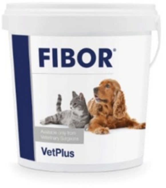 벳플러스 파이보 반려동물 장 영양제 500g, 1개