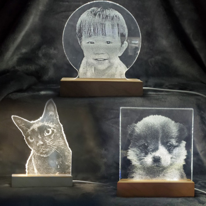 Hucat 주문 제작 아크릴 무드등 - 강아지 고양이 사진 레이저 각인 어버이날 스승의날 선물, B타입(원형)