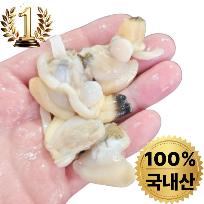 [수라모아] 국내산 생물 해감 깐 바지락살 손질 조갯살 산지직송, 1개, 500g