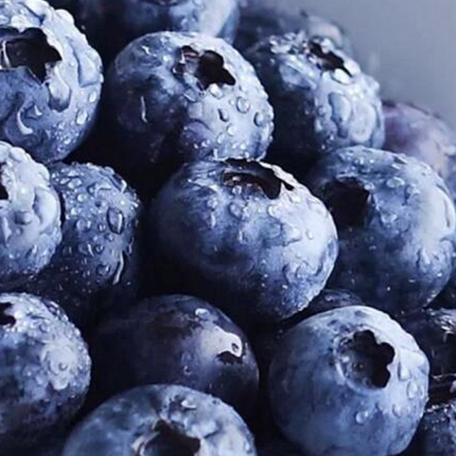 [한정특가] 국산100% 당일수확 고당도 생블루베리, 1개, 200g