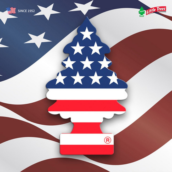 리틀트리 아메리카 10개 종이 방향제 디퓨저
