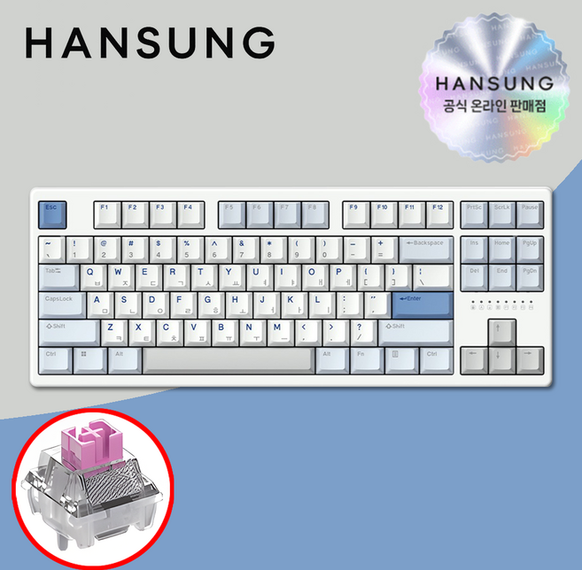 한성 TFG 매그니톡스 2XL 8K 래피드트리거 그레이레이니 저소음 자석축, 단품, 단품