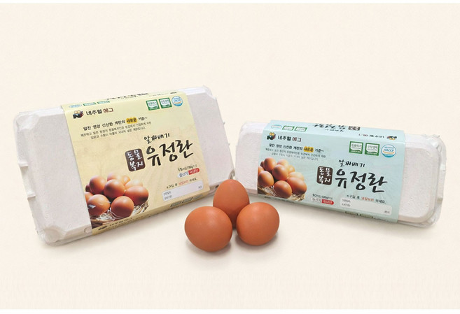 알짜배기 동물복지 유정란 10구 15구 30구, 1개