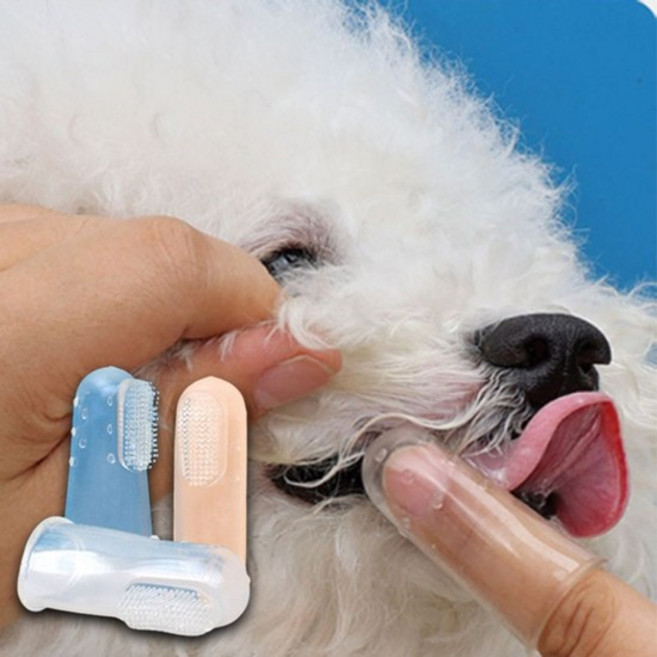 강아지 실리콘 투명 손가락 칫솔 3P 고양이 양치 치석 투명손가락칫솔 강아지손가락칫솔, 없음, 상세설명 참조, 상세설명 참조