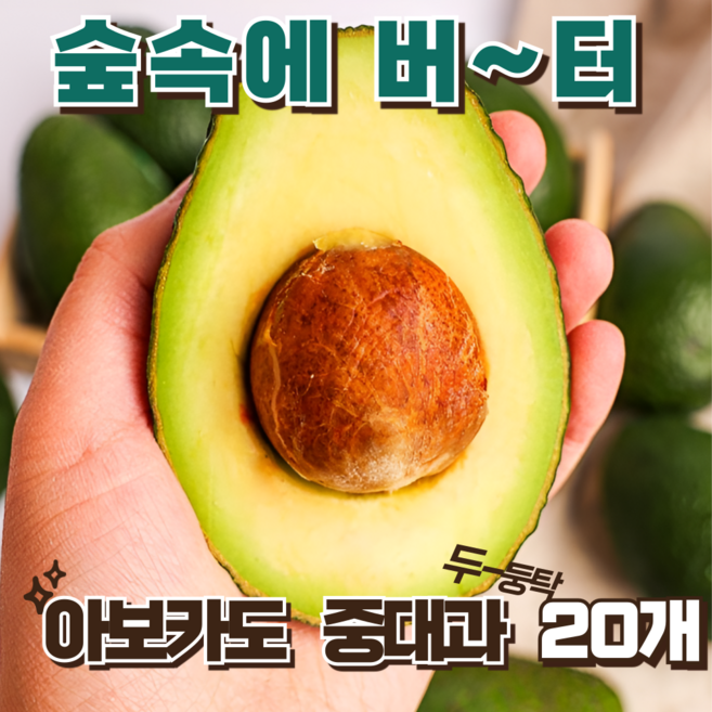 신선한 아보카도 고소한 풍미, 1박스, 아보카도 중대과 (20개)