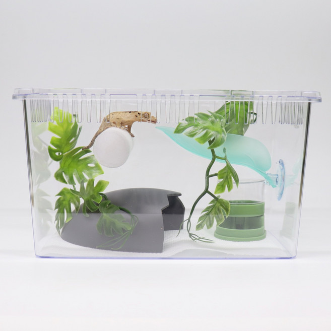 테라운드 사육장세트 사육통 용품포함 크레스티드게코, 테라운드사육세트, 1개