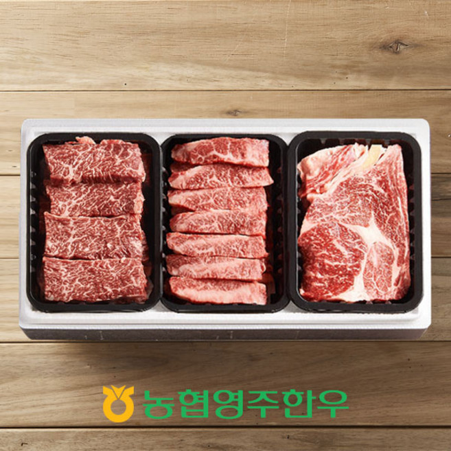 [농협영주한우]1+ 로스특수부위 모듬 한판 7호 총 600g (등심 특수부위x2), 단품, 200g