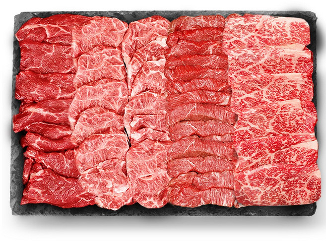 1++ 투뿔 한우 배부른 구이 모둠 한판 세트 600g + 소스3종 증정, 1세트