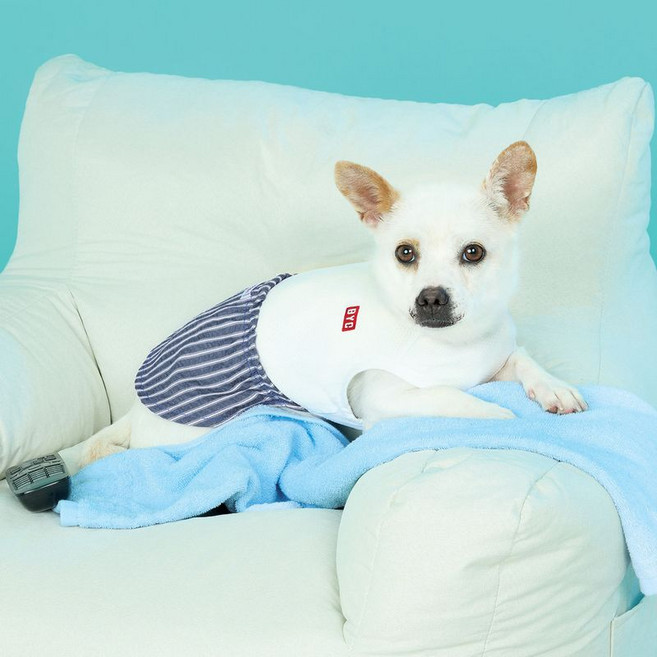 BYC 개리야스 난닝구세트 ODR000402