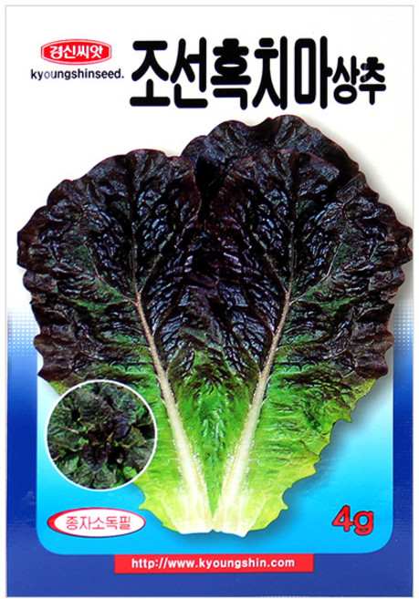 세인화분 조선 흑치마 상추 4g - 상추씨 채소 씨 씨앗, 1개