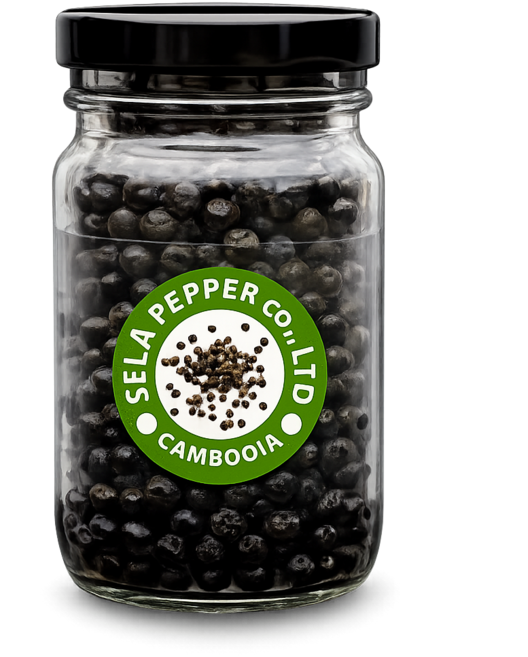 셀라 솔티드페퍼 71g 생후추 절임 톡터지는 식감 캄보디아 후추, 1개