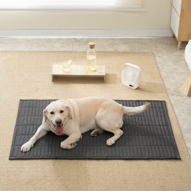 소하임 냉감 쿨링 통세탁 펫 쿨매트, 챠콜그레이, 1개