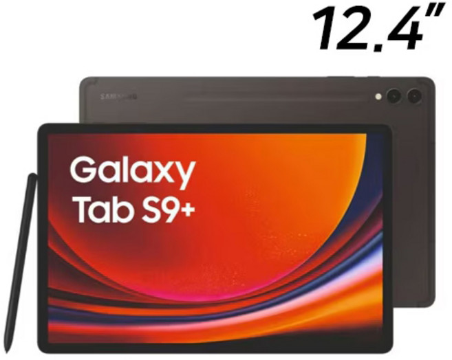 삼성전자 갤럭시탭 S9 플러스 교육기관 렌탈 회수제품 리퍼, 베이지, 256GB, Wi-Fi