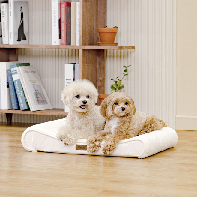 펫테일 강아지 방석 척추 고양이 침대 리저브, 네추럴 베이지, 1개