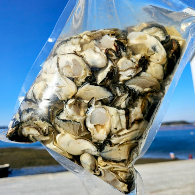 [탱탱한 식감] 국내산 통영 굴 생굴 깐굴 김장굴, 1개, 통영 생굴 1kg