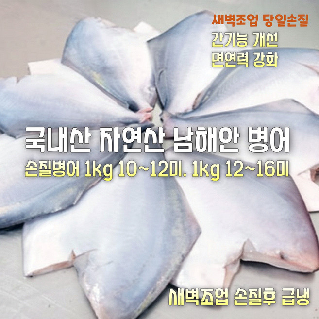 [산지직송] 국내산 자연산 남해안. 목포 햇 생물병어 1500g 손질후 1000g 급냉 8~12미 구이. 조림용, 1박스, 생물병어 1500g 손질후 1000g 급냉 12~16미