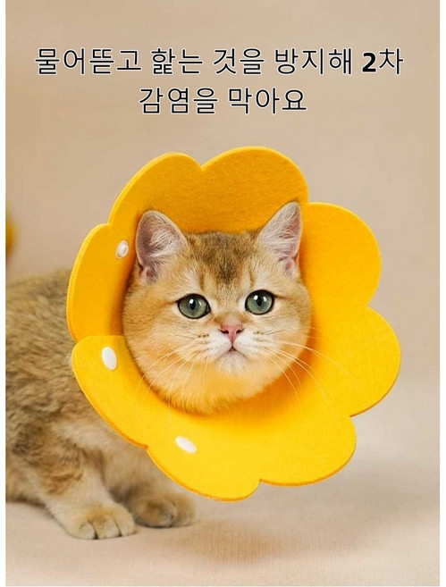 2 고양이 부직포 해바라기 보호컬러 단추형 조절식 핥기방지 목걸이 얇고 부드러운 경량 수술후 회복용 엘리자베스 링, 2개, L