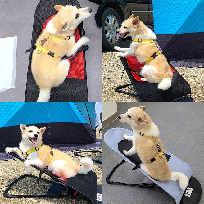말썽쟁이여름 강아지 고양이 애견 애완견 대형견 개 반려동물 펫 접이식 캠핑 수면 야전 흔들 침대 천 해먹 베드 바운스 바운서, 그레이, 1개