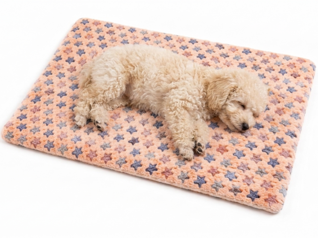 폭신 편안 반려동물 애견방석, 1개, 반려방석 베이지