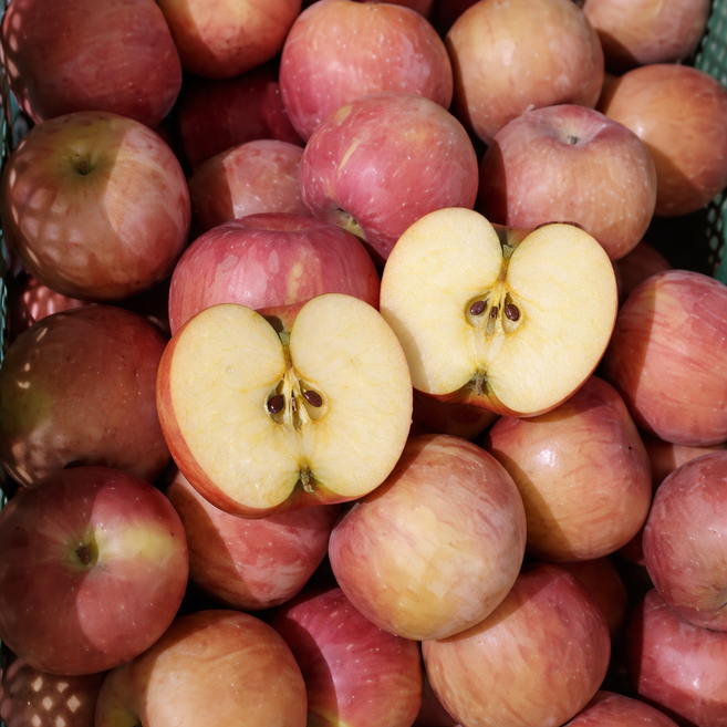 [가격파괴] 12BRIX 부사사과 청송부사 청송사과, 1박스, 2kg