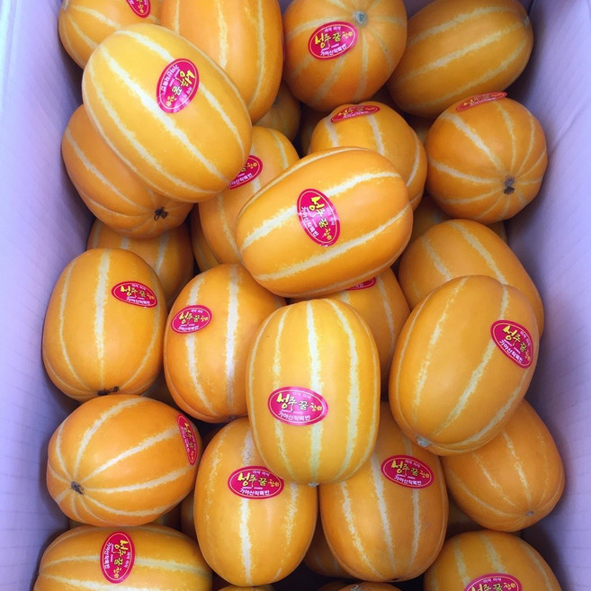 달달 아삭 고당도 성주 참외, 1개, 10kg 로얄과