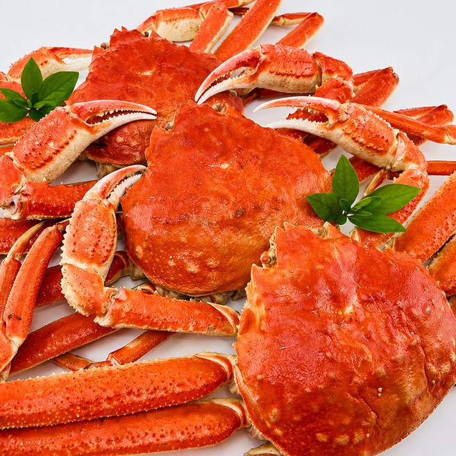 [수율보장] S급 마가단 자숙 박달대게 3KG, 1개