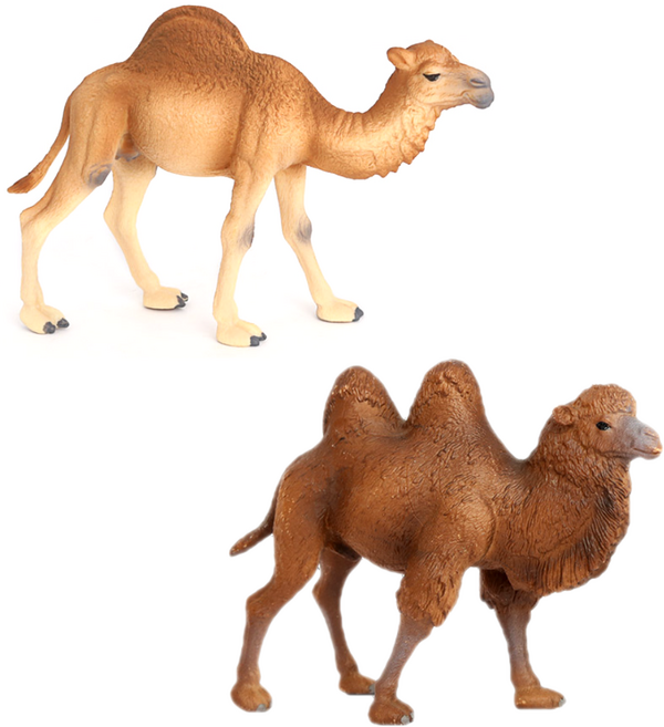 제트피규어 낙타 동물 모형 피규어 장난감 2종 세트, 1개