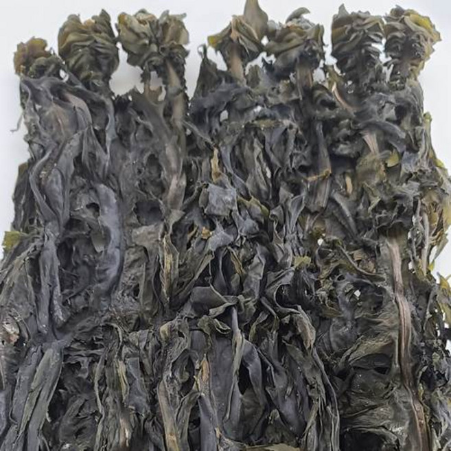 섬마을 진도 동거차도 돌미역 1각 미역귀 달린 산모미역 1각 (상품길이 약1m), 1개, 500g