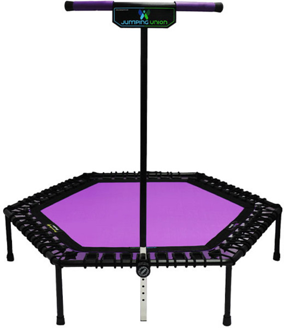 점핑유니언 피트니스용 가정용 트램폴린 프램펄린, 올퍼플