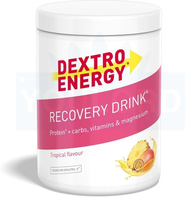 DEXTRO ENERGY 덱스트로 에너지 리커버리 드링크 트로피칼 356g, 1개 - 쿠팡