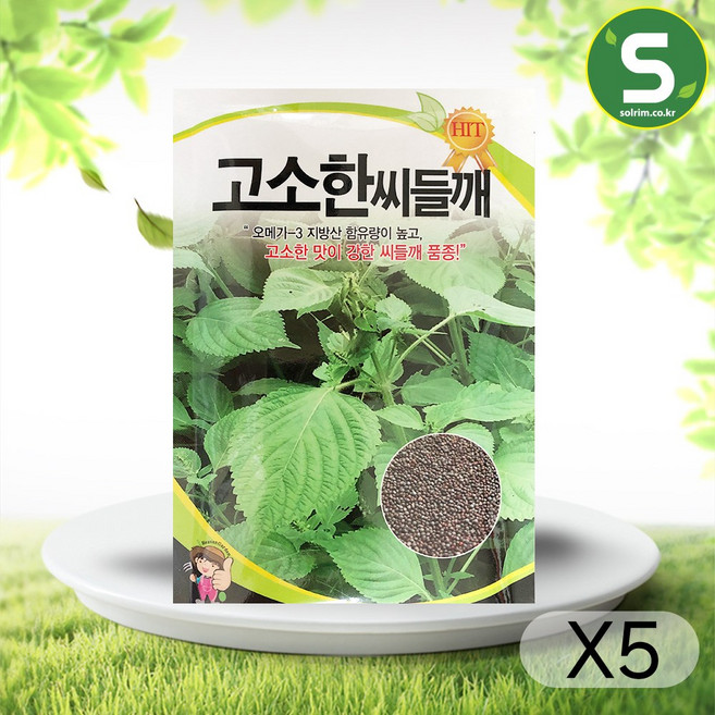 솔림텃밭몰 씨들깨씨앗 20g 고소한씨들깨 들깨씨앗 씨들깨, 5개