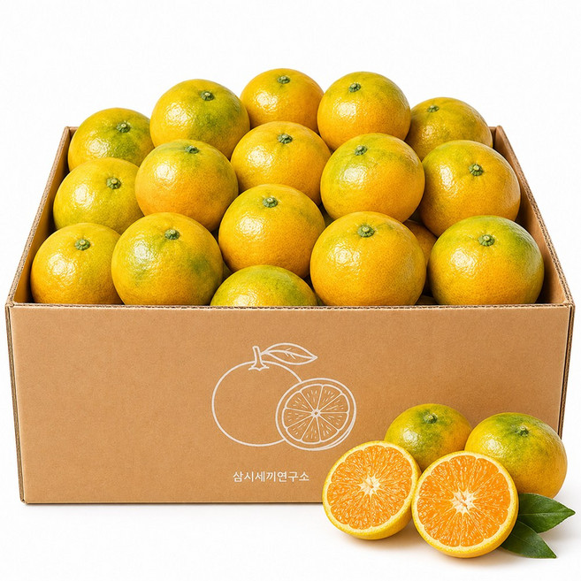 삼시세끼연구소 여름에도 톡 터지는 햇 제주 하우스 귤 밀감 감귤, 1박스, 3kg(소과)