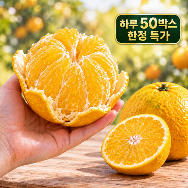[한정특가] 제주 황금향 새콤달콤 감귤, 1박스, 3kg