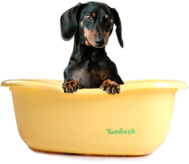 요미락 펫 욕조 / 오렌지 강아지욕조 고양이 반려동물 바스 목욕, 1개