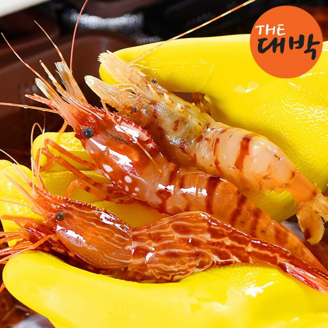 자연산 활 독도새우 꽃새우 닭새우, 활 꽃새우, 1개, 500g