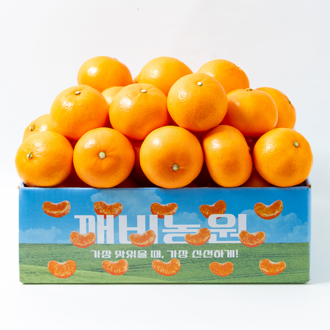 깨비농원 천혜향, 1박스, 천혜향 4kg 중과