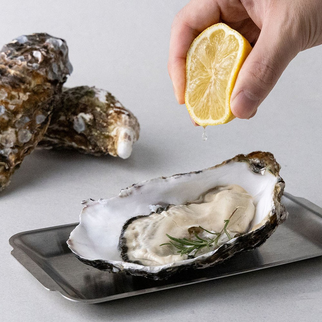 프리미엄 통영 삼배체굴, 1개, 6kg